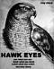 hawk_eyes