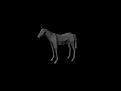 اسم التصميم : الحصان 

تم التصميم بهدف التعود على ادوات المودلنج في البرنامج 

البرنامج المستخدم : maya