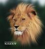 mostafa777