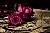 Tuna_Rose
