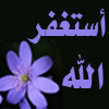 ريــــم