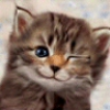 صورة واضحة