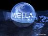 wellaman