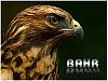 bahr