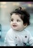 محب المناب