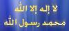 حب الإسلام