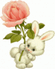 ..SOoMs..