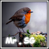 Mr.SG