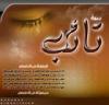 طريق تائب