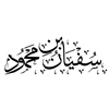 محمود أنور