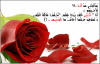 ناصرالعسكر