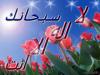 فارس البرق