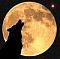 wolfofiraq