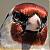 mohamed_3d