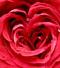 pearl_m