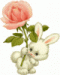 ..SOoMs..