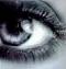 naudy