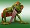 froggy
