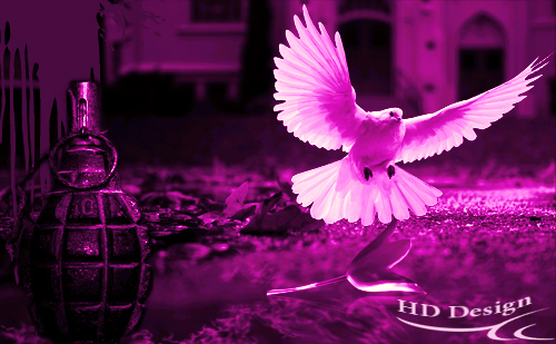 اضغط على الصورة لعرض أكبر. 

الإسم:	HD.jpg 
مشاهدات:	1 
الحجم:	209.6 كيلوبايت 
الهوية:	3298952
