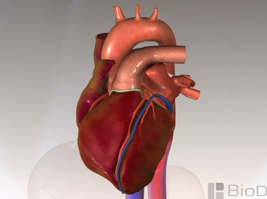 اضغط على الصورة لعرض أكبر. 

الإسم:	image.png 
مشاهدات:	123 
الحجم:	448.1 كيلوبايت 
الهوية:	3675358