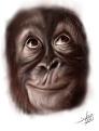 اضغط على الصورة لعرض أكبر. 

الإسم:	singe.JPG 
مشاهدات:	123 
الحجم:	21.6 كيلوبايت 
الهوية:	3292506
