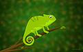 اضغط على الصورة لعرض أكبر. 

الإسم:	chameleon_by_hotamr-d35q62d[1].jpg 
مشاهدات:	86 
الحجم:	12.2 كيلوبايت 
الهوية:	3292785