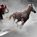 اضغط على الصورة لعرض أكبر. 

الإسم:	Horsedrive2.gif 
مشاهدات:	185 
الحجم:	22.2 كيلوبايت 
الهوية:	3293168