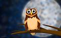 اضغط على الصورة لعرض أكبر. 

الإسم:	o_the_owl_by_hotamr-d3bov5y[2].jpg 
مشاهدات:	85 
الحجم:	59.9 كيلوبايت 
الهوية:	3293847