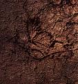 اضغط على الصورة لعرض أكبر. 

الإسم:	birth.jpg 
مشاهدات:	92 
الحجم:	52.7 كيلوبايت 
الهوية:	3294923