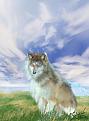 اضغط على الصورة لعرض أكبر. 

الإسم:	sad wolf.jpg 
مشاهدات:	122 
الحجم:	43.9 كيلوبايت 
الهوية:	3295517