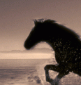 اضغط على الصورة لعرض أكبر. 

الإسم:	33333.gif 
مشاهدات:	81 
الحجم:	80.9 كيلوبايت 
الهوية:	3295601