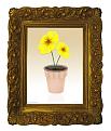 اضغط على الصورة لعرض أكبر. 

الإسم:	Yellow flower vase1.jpg 
مشاهدات:	76 
الحجم:	223.2 كيلوبايت 
الهوية:	3301927