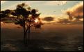 اضغط على الصورة لعرض أكبر. 

الإسم:	Lonely_Tree1.jpg 
مشاهدات:	76 
الحجم:	63.0 كيلوبايت 
الهوية:	3303053