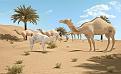 اضغط على الصورة لعرض أكبر. 

الإسم:	الفينال.jpg 
مشاهدات:	236 
الحجم:	79.0 كيلوبايت 
الهوية:	3303414