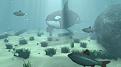 اضغط على الصورة لعرض أكبر. 

الإسم:	Cinema-4D-Creating-an-Underwater-Scene-Tutorial.jpg 
مشاهدات:	131 
الحجم:	43.6 كيلوبايت 
الهوية:	3310888
