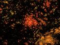 اضغط على الصورة لعرض أكبر. 

الإسم:	tests0548.jpg 
مشاهدات:	97 
الحجم:	17.4 كيلوبايت 
الهوية:	3311502