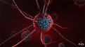 اضغط على الصورة لعرض أكبر. 

الإسم:	Virus-F.jpg 
مشاهدات:	186 
الحجم:	186.4 كيلوبايت 
الهوية:	3314329