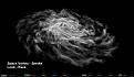 اضغط على الصورة لعرض أكبر. 

الإسم:	Space_Vortex -Smoke Look.jpg 
مشاهدات:	137 
الحجم:	39.5 كيلوبايت 
الهوية:	3314447