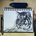 اضغط على الصورة لعرض أكبر. 

الإسم:	10685333_856589564386467_1807853315535430457_n.jpg 
مشاهدات:	332 
الحجم:	88.6 كيلوبايت 
الهوية:	3315656