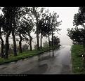 اضغط على الصورة لعرض أكبر. 

الإسم:	overcast (Copy).jpg 
مشاهدات:	152 
الحجم:	124.2 كيلوبايت 
الهوية:	3316315