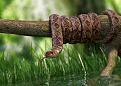 اضغط على الصورة لعرض أكبر. 

الإسم:	snake2.jpg 
مشاهدات:	326 
الحجم:	92.0 كيلوبايت 
الهوية:	3316437