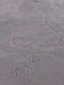 صورة007