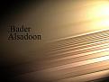 Bader 3D the wood