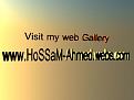 My web Gallery