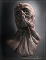 Mudbox / Sketchbook
