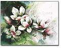 Magnolia flowers watercolor painting L